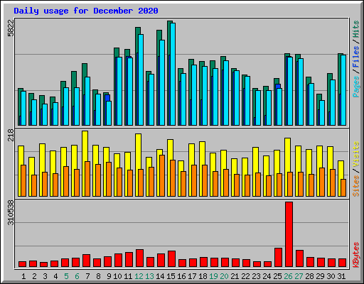 Daily usage for December 2020