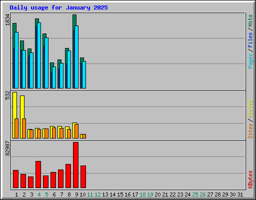 Daily usage for January 2025