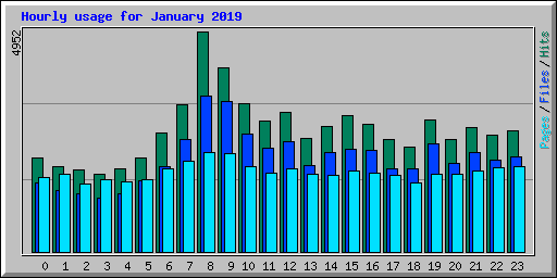 Hourly usage for January 2019