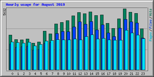 Hourly usage for August 2019