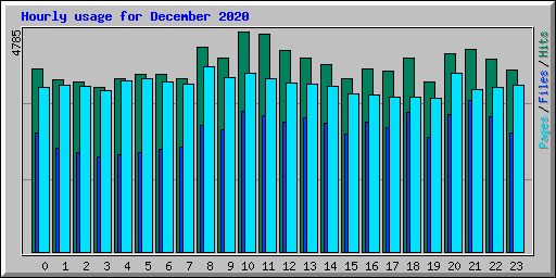 Hourly usage for December 2020