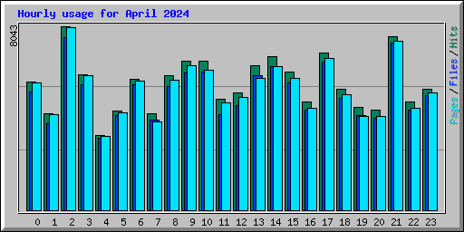 Hourly usage for April 2024