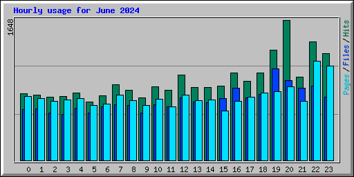 Hourly usage for June 2024