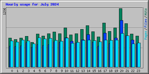 Hourly usage for July 2024