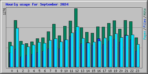 Hourly usage for September 2024