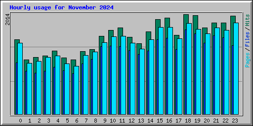 Hourly usage for November 2024