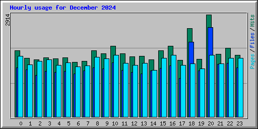 Hourly usage for December 2024