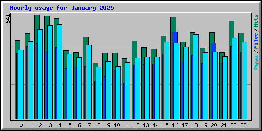 Hourly usage for January 2025